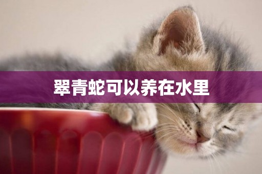 翠青蛇可以養在水里