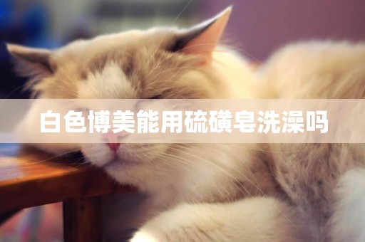 白色博美能用硫磺皂洗澡嗎