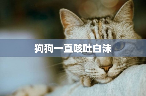 狗狗一直咳吐白沫