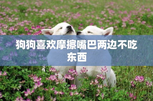 狗狗喜歡摩擦嘴巴兩邊不吃東西