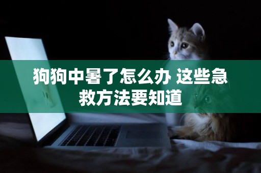 狗狗中暑了怎么辦 這些急救方法要知道