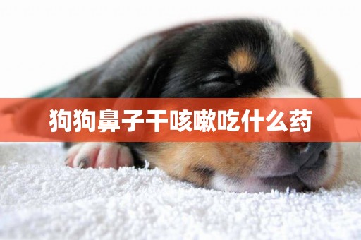 狗狗鼻子干咳嗽吃什么藥