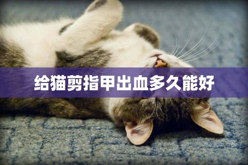 給貓剪指甲出血多久能好