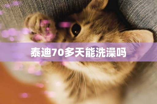 泰迪70多天能洗澡嗎