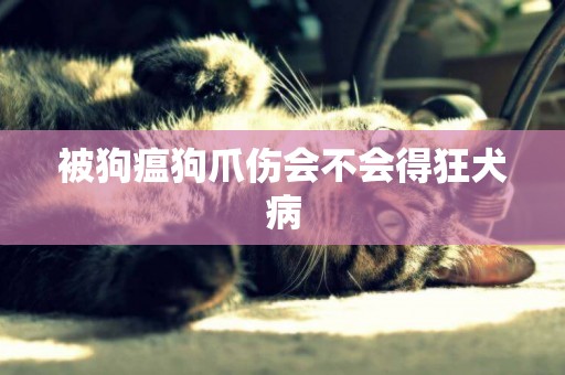 被狗瘟狗爪傷會不會得狂犬病