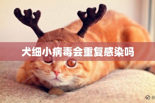 犬細小病毒會重復感染嗎