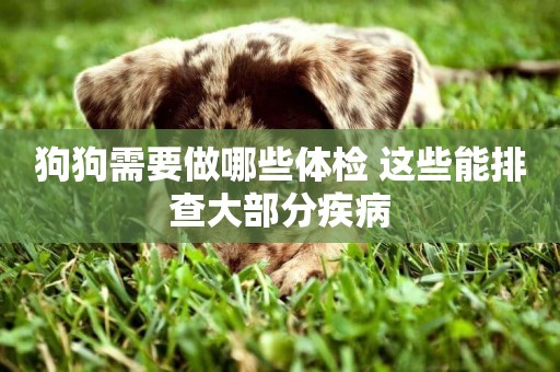 狗狗需要做哪些體檢 這些能排查大部分疾病