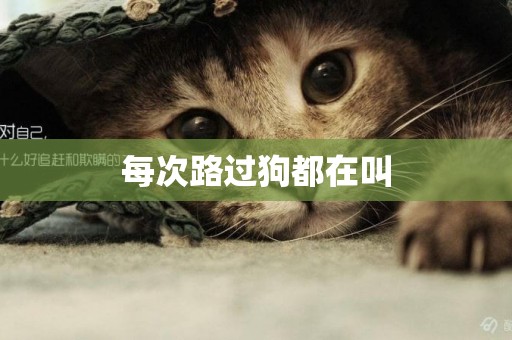 每次路過狗都在叫
