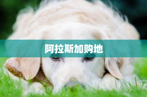 阿拉斯加購地