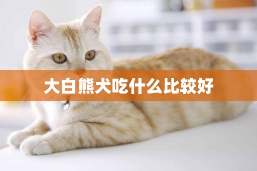 大白熊犬吃什么比較好