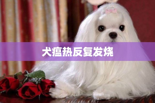 犬瘟熱反復發燒