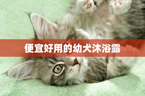 便宜好用的幼犬沐浴露