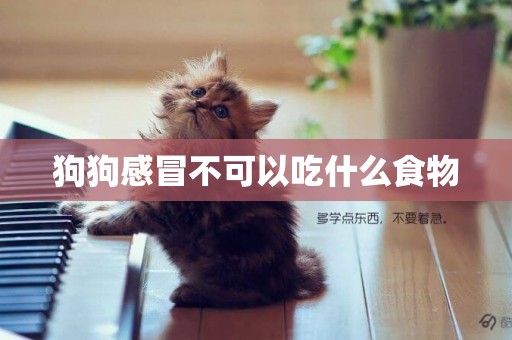 狗狗感冒不可以吃什么食物