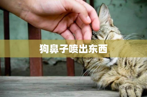 狗鼻子噴出東西