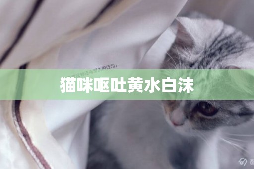 貓咪嘔吐黃水白沫