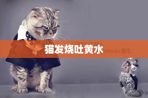 貓發燒吐黃水