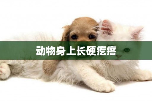 動物身上長硬疙瘩
