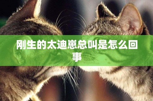剛生的太迪崽總叫是怎么回事