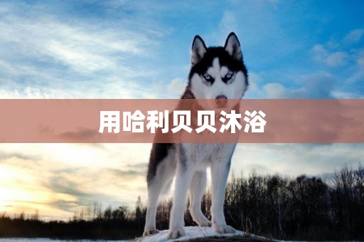 用哈利貝貝沐浴