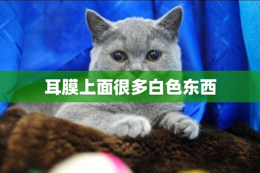 耳膜上面很多白色東西
