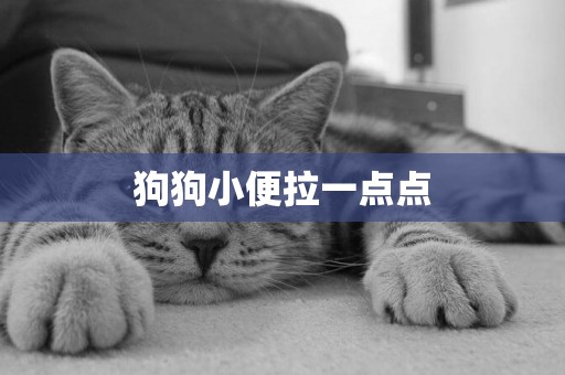 狗狗小便拉一點點