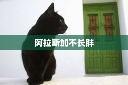 阿拉斯加不長胖