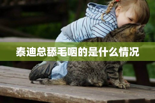 泰迪總舔毛咽的是什么情況