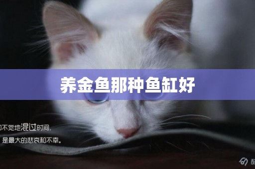 養金魚那種魚缸好