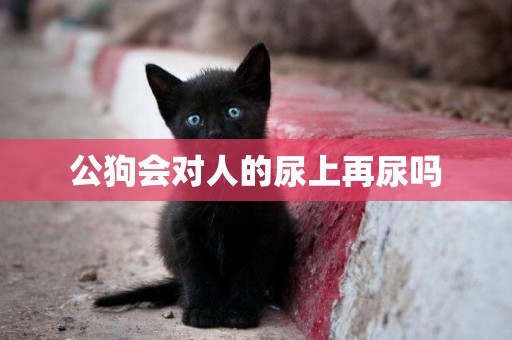 公狗會對人的尿上再尿嗎