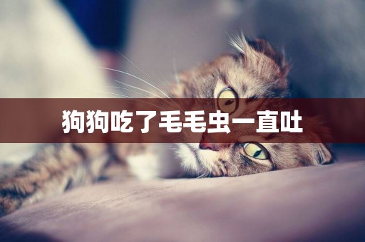 狗狗吃了毛毛蟲一直吐