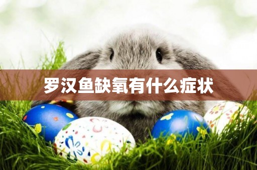 羅漢魚缺氧有什么癥狀