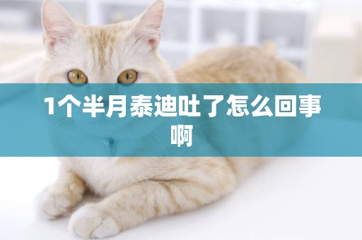 1個半月泰迪吐了怎么回事啊