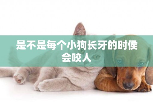 是不是每個小狗長牙的時侯會咬人
