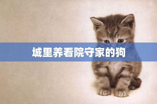 城里養看院守家的狗