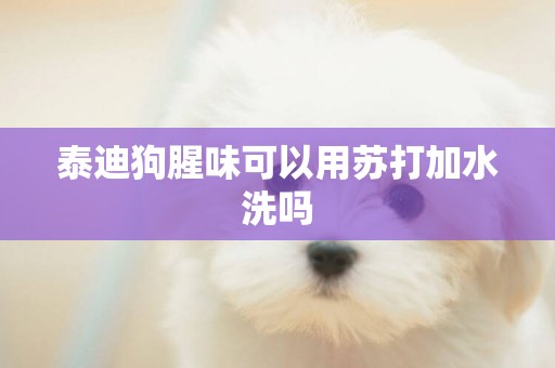 泰迪狗腥味可以用蘇打加水洗嗎