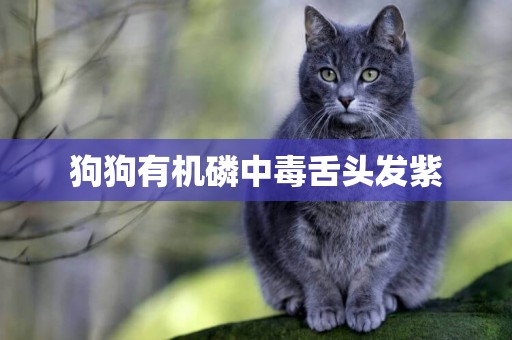 狗狗有機磷中毒舌頭發紫