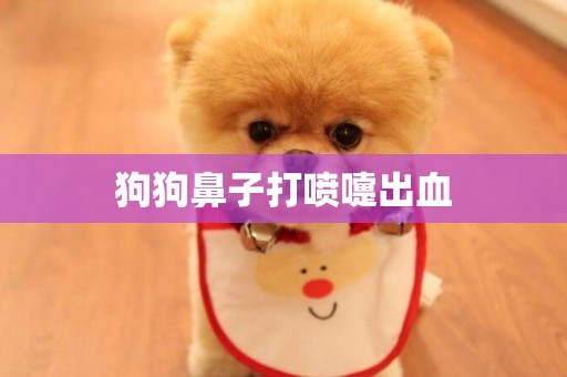 狗狗鼻子打噴嚏出血