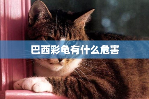 巴西彩龜有什么危害