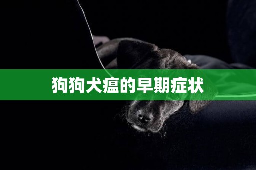 狗狗犬瘟的早期癥狀