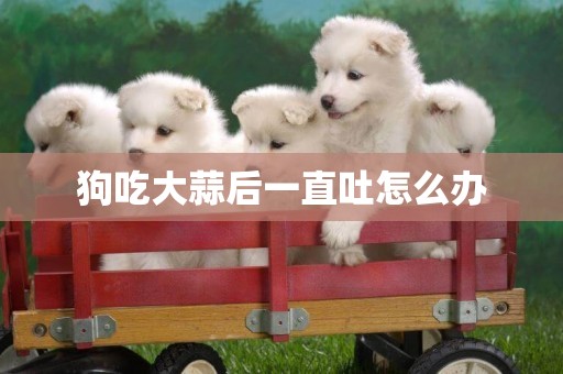 狗吃大蒜后一直吐怎么辦