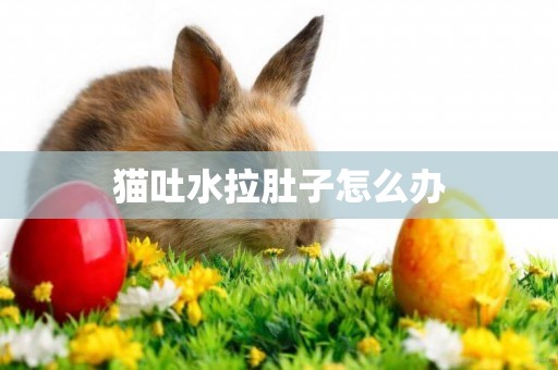 貓吐水拉肚子怎么辦