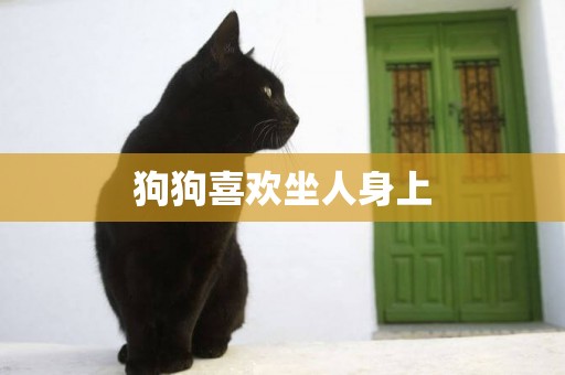 狗狗喜歡坐人身上