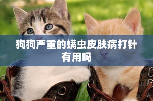 狗狗嚴重的螨蟲皮膚病打針有用嗎