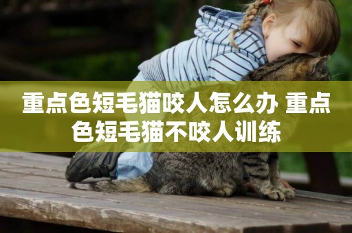 重點色短毛貓咬人怎么辦 重點色短毛貓不咬人訓練