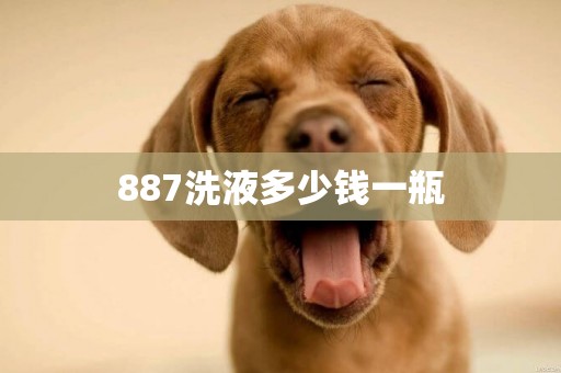 887洗液多少錢一瓶