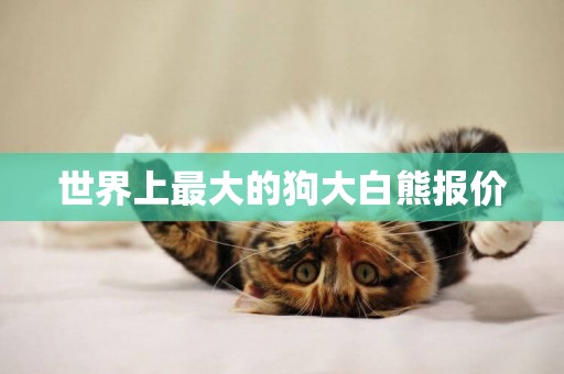 世界上最大的狗大白熊報價
