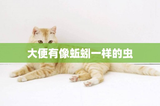 大便有像蚯蚓一樣的蟲