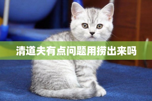 清道夫有點問題用撈出來嗎