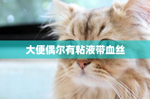 大便偶爾有粘液帶血絲