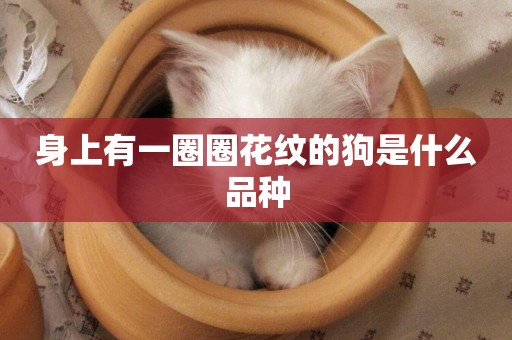 身上有一圈圈花紋的狗是什么品種